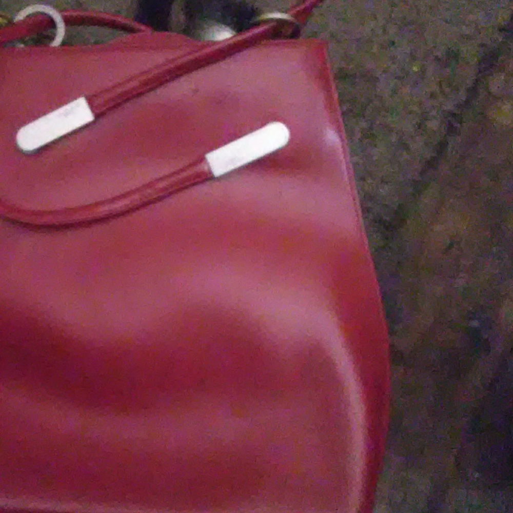 Frederic Paris purse